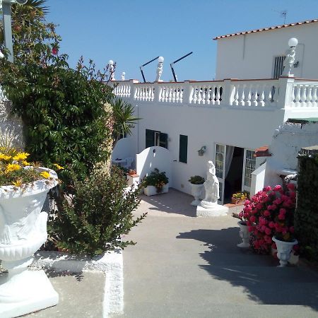 Villa Natalina Forio di Ischia Dış mekan fotoğraf